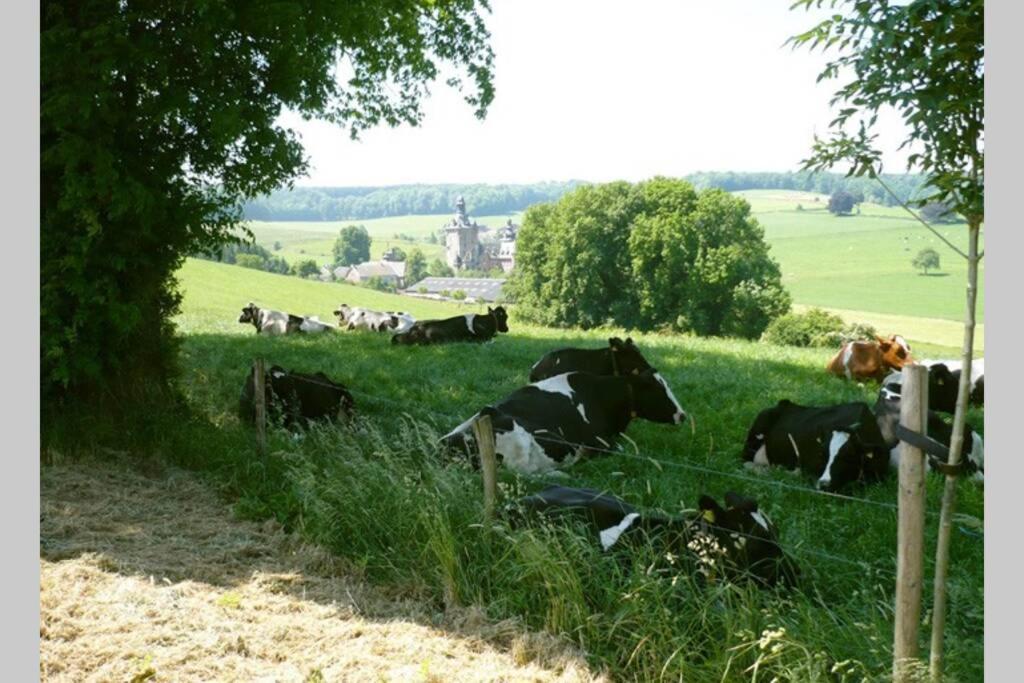 Hoeve Espewey Cottage Hombourg المظهر الخارجي الصورة
